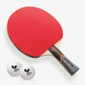 Butterfly Stayer 3000 Table Tennis Racket