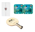 DHS Advanced Table Tennis Racket