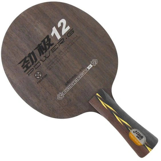 DHS Power G12 (PG12)