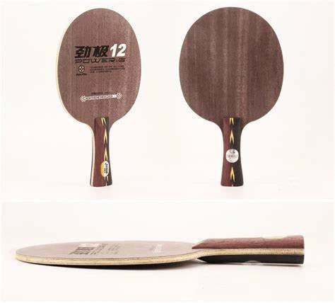 DHS Power G12 (PG12)