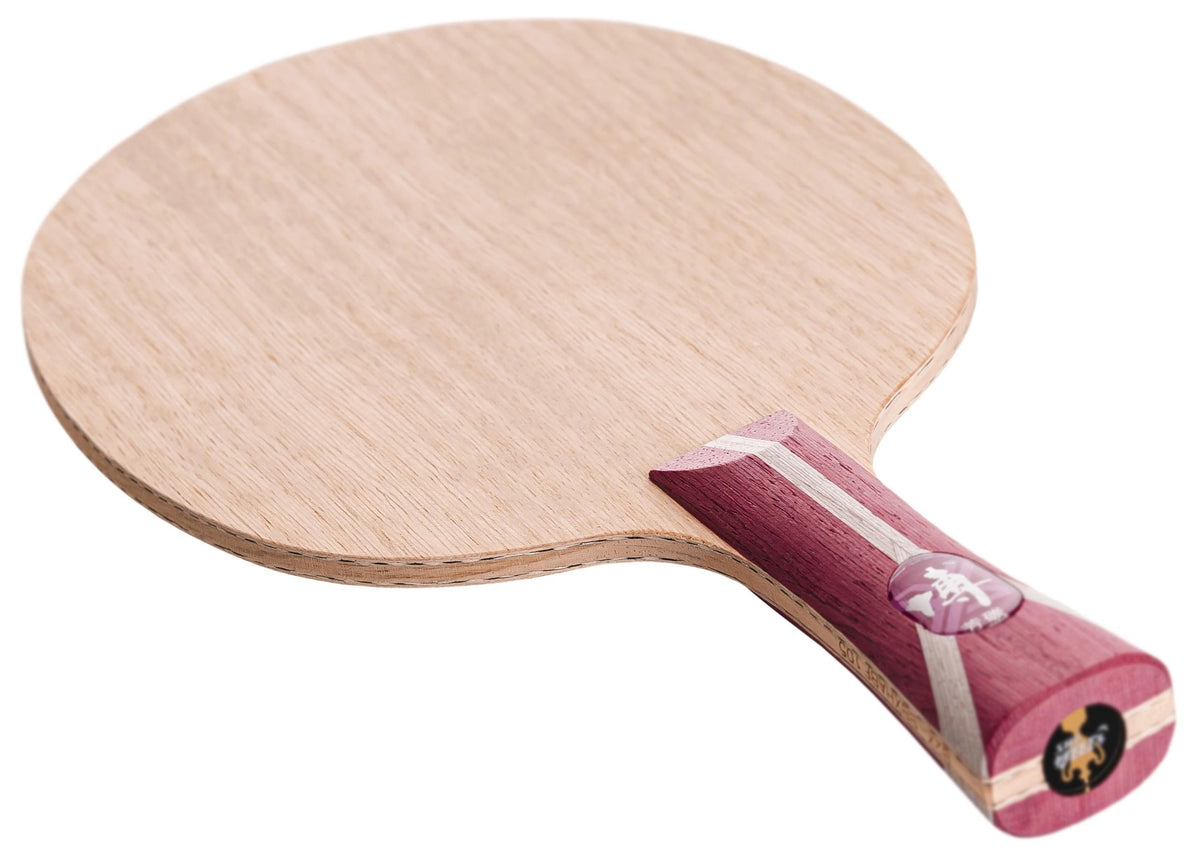 DHS Fang Bo Carbon B2X
