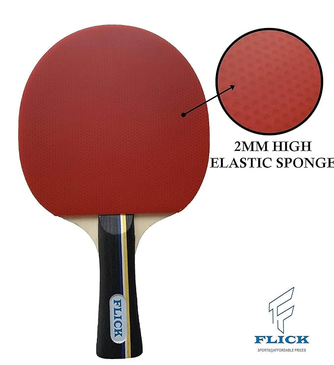 Flick's Platinum Plus Table Tennis Play Set