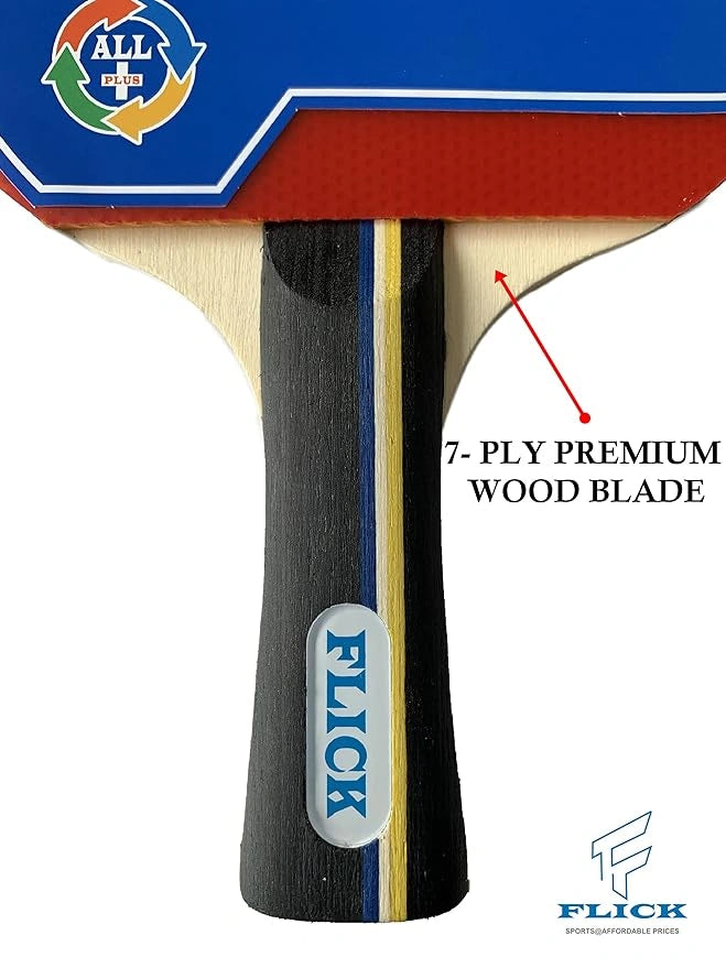 Flick's Platinum Plus Table Tennis Play Set
