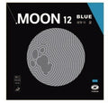 Yinhe Moon 12
