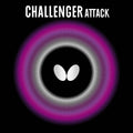 Butterfly Challenge Attack