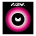 Butterfly Rozena